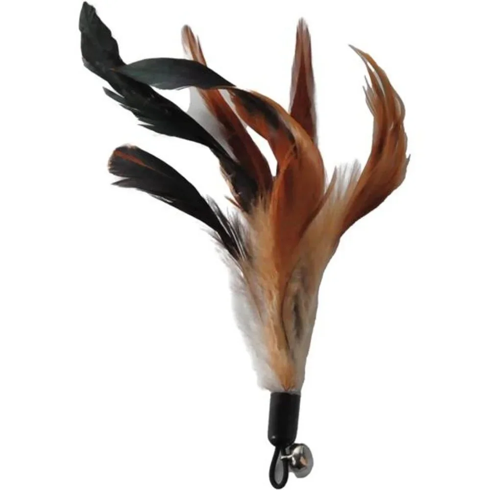 Cat Toys - No Chemical Dyeing Cat Feather Toys for Indoor Cats